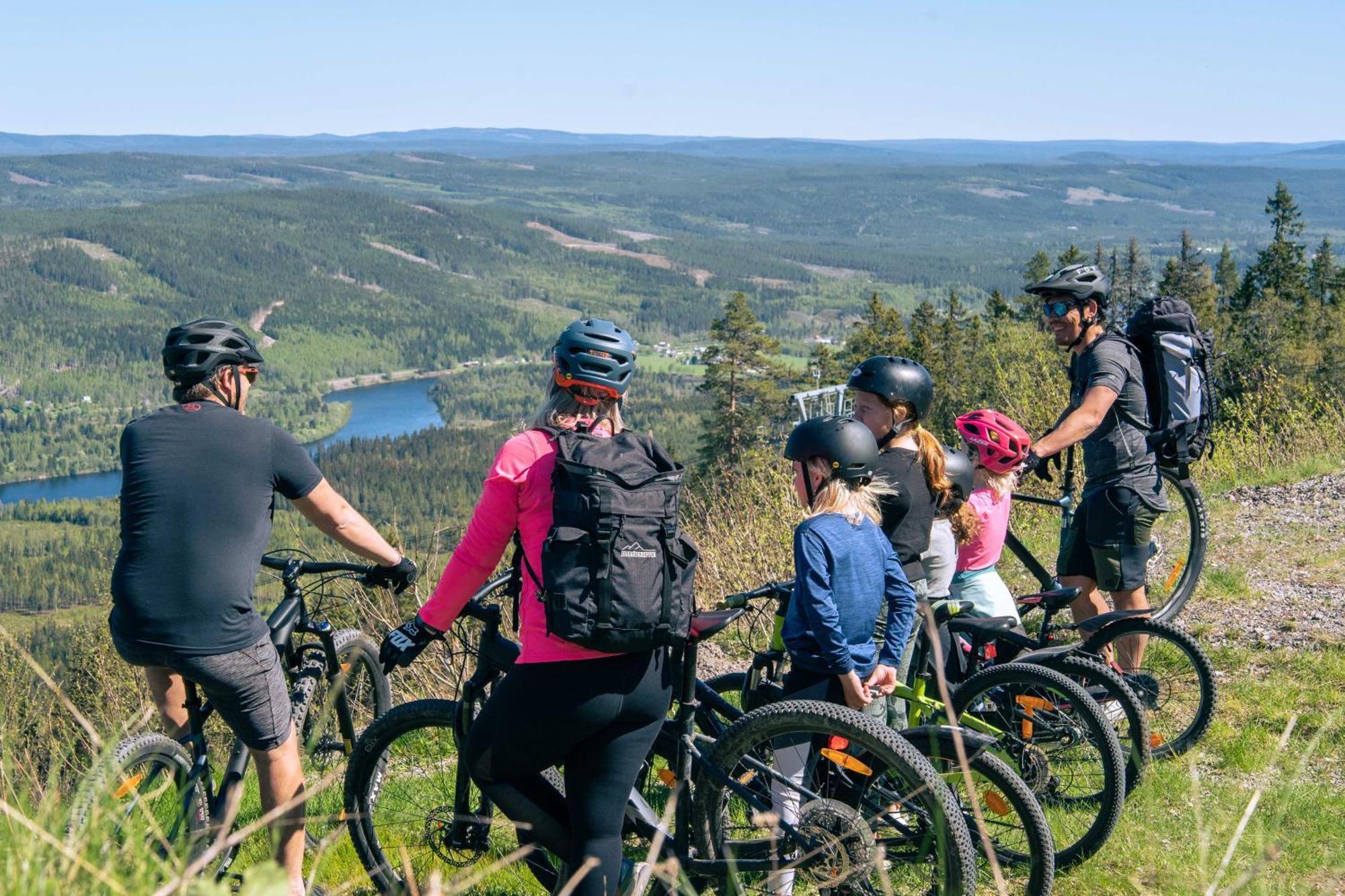 Lyxig Stuga Pa Branaesberget Sysslebäck Zewnętrze zdjęcie